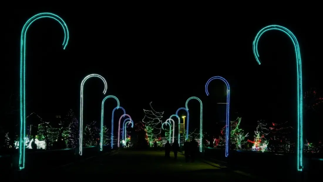 Calgary Zoo's ZOOLIGHTS hits 30 with life-size gingerbread houses and a million lights