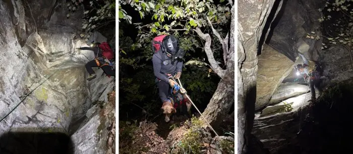 Dog Stuck on a Cliff for Three Days Gets Dramatic Nighttime Rescue Near the Appalachian Trail