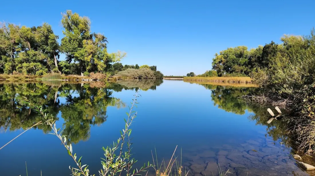 Lodi Lake: California's Quiet Alternative to Lake Tahoe