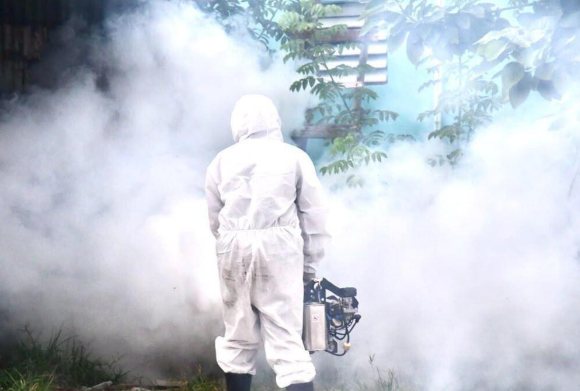 Dengue Watch: Dominican Republic Steps Up Mosquito Controls in Its Busiest Resort Provinces