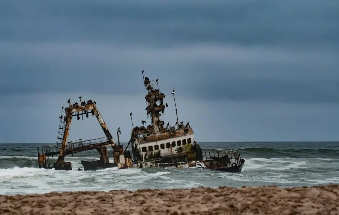 Skeleton Coast: Namibia's foggy shipwreck shore where desert elephants roam