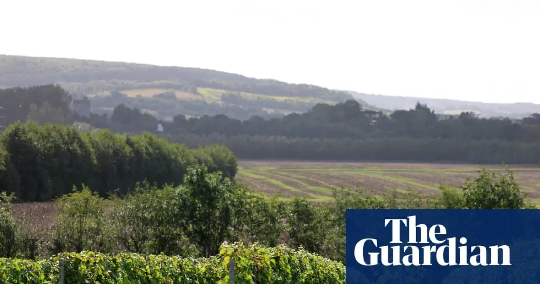 Taittinger's English fizz: why Kent is now Britain's most exciting wine region