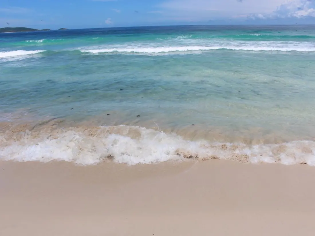 Movies by the Marina: The BVI's 284 Excellence Film Festival Returns to Tortola