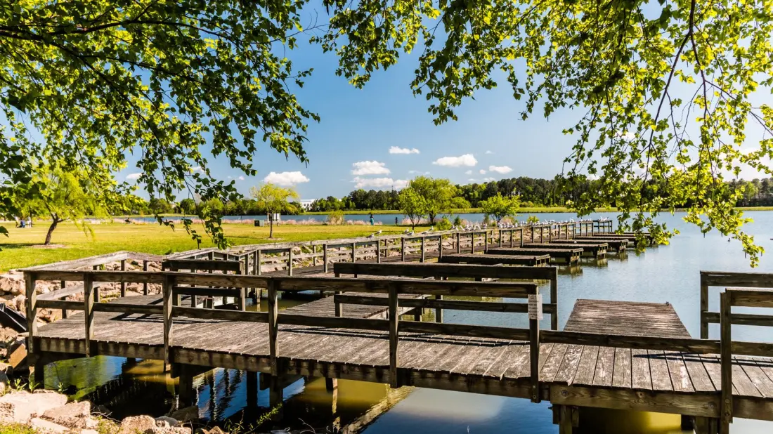 Mount Trashmore: The Virginia Beach Park Built on 640,000 Tons of Garbage
