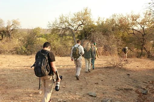 Six South African wildlife experiences that hit different on foot