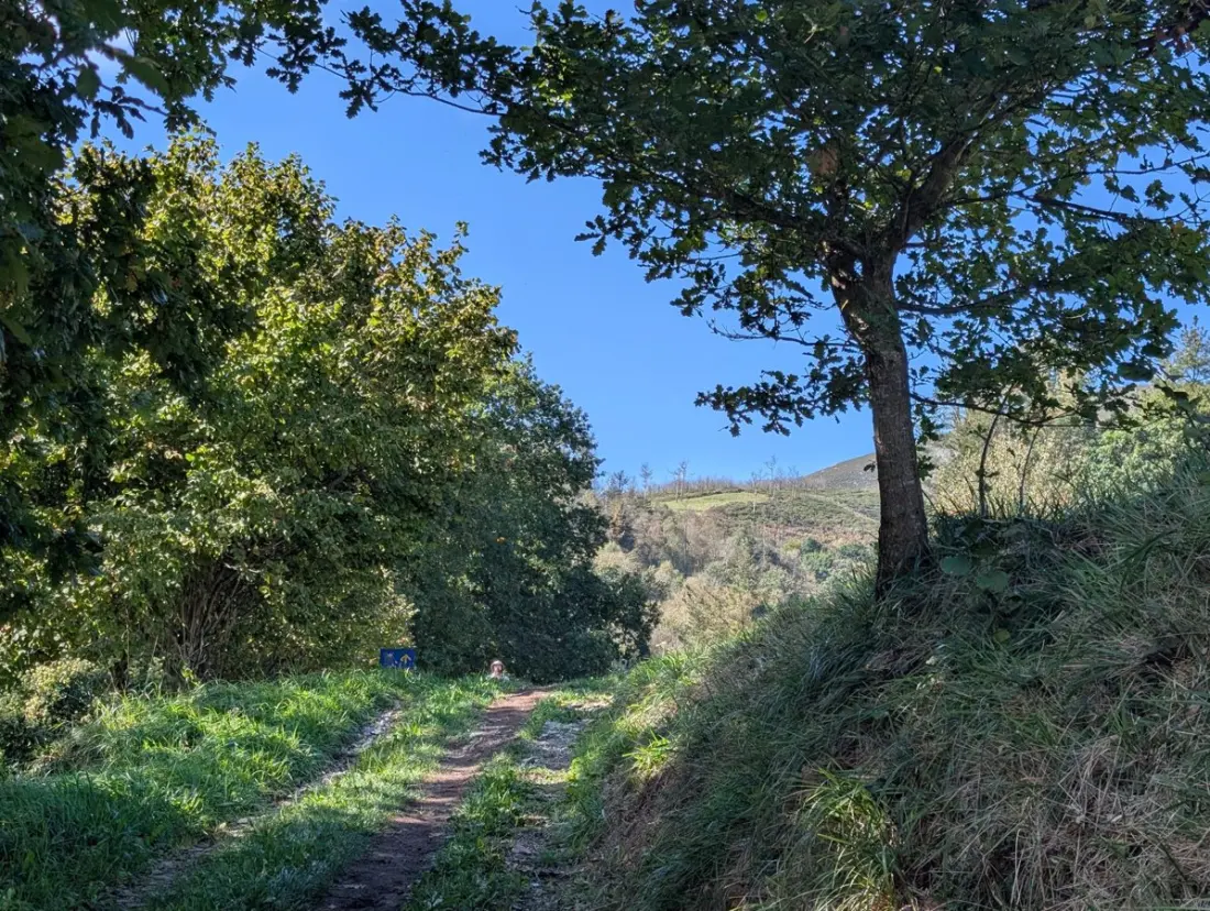 A Day on the Camino Primitivo: Sunrise Above the Fog and a Bench Carved with Yoda