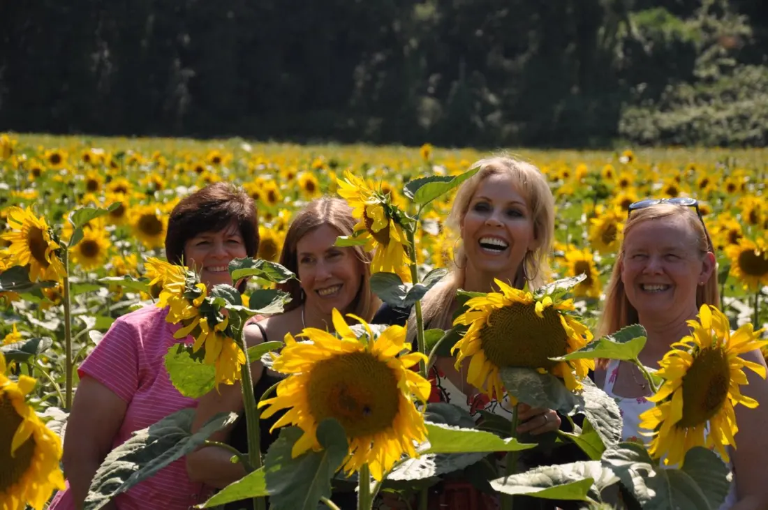 Wine & Cooking Under the Tuscan & Umbrian Sun: A Week of Living Like Family in Soriano nel Cimino