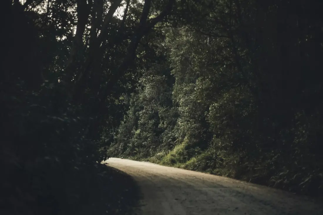 Road to Rhodes: why the gravel drive into the Eastern Cape Highlands is the whole point