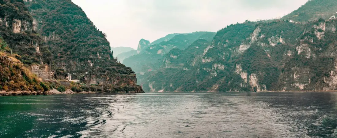 Fish missing for decades are returning to China's Yangtze River