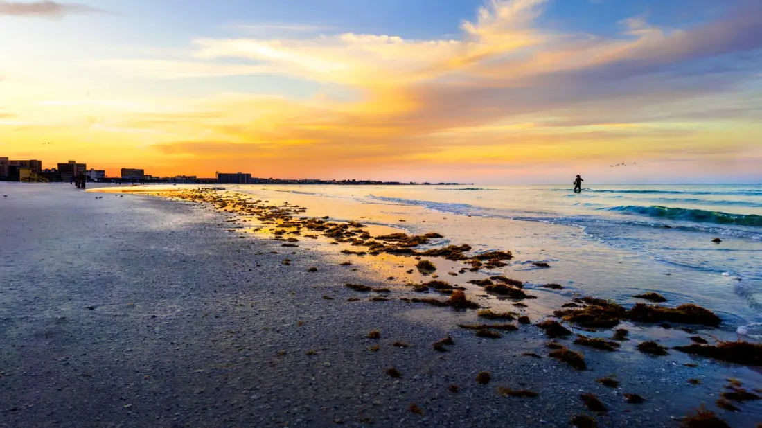 Sarasota, Bradenton and North Port: Why Cincinnati's Retirees Are Heading to This Gulf Coast Stretch of Florida