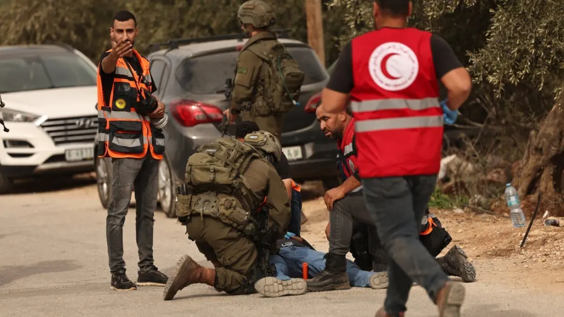 European diplomats attacked during West Bank olive harvest visit to Taybeh