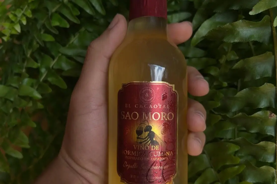 Santander's Famous Big-Bottomed Ants Are Now Being Turned Into Wine