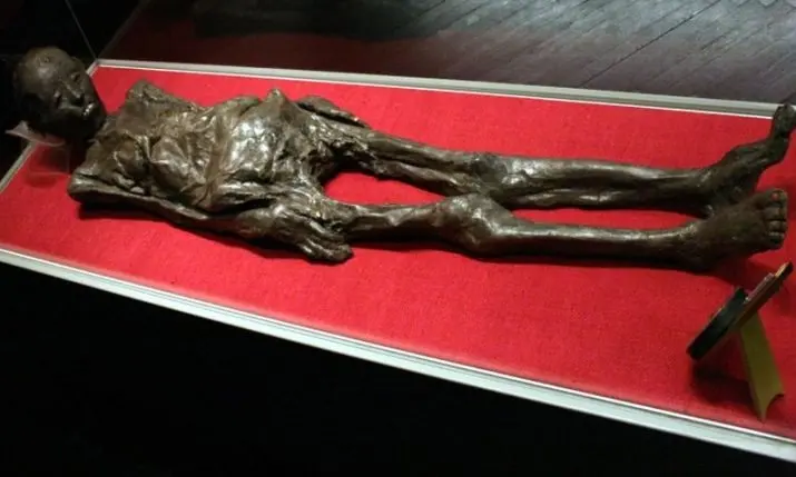 Zagreb's Archaeological Museum Puts a 2,300-Year-Old Egyptian Book of the Dead on Permanent Display