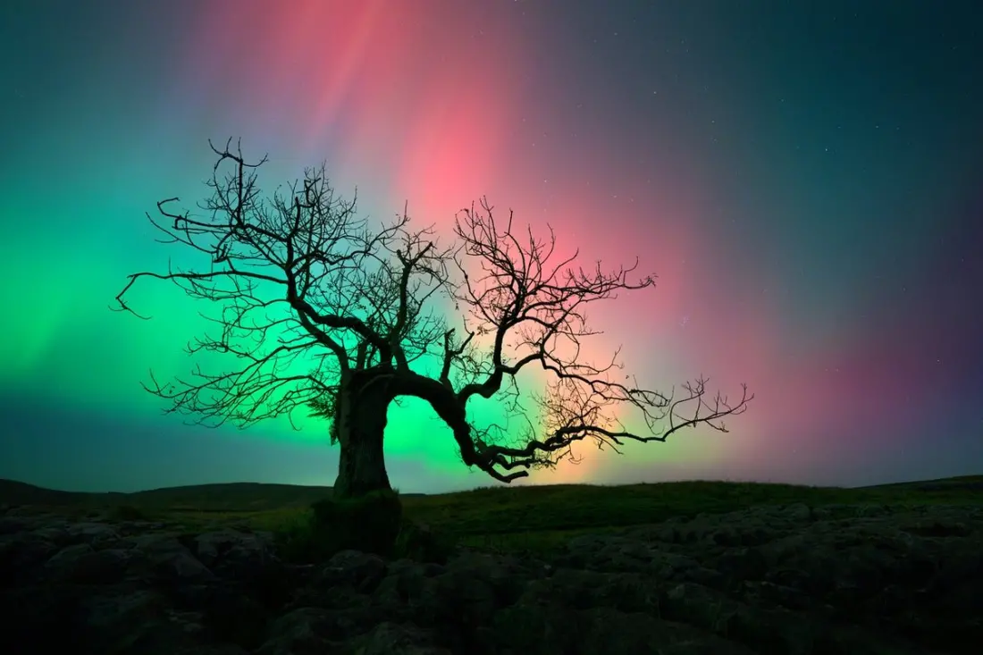 You don't need the Arctic Circle: ten dark-sky spots to catch the northern lights in the UK