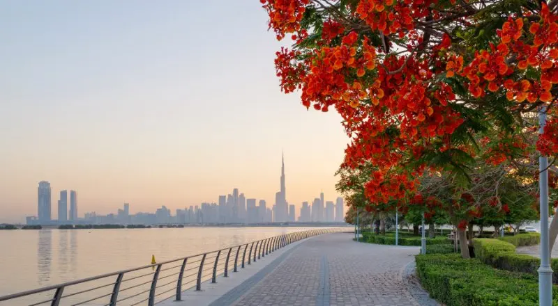 Autumn arrives in the UAE on September 23 — and Dubai's outdoor season kicks off
