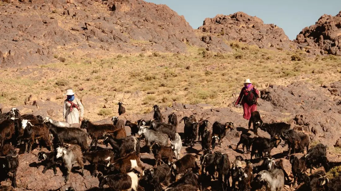 Walking With Morocco's Last Nomads: A Goat-Trek Through the High Atlas With the Aït Atta