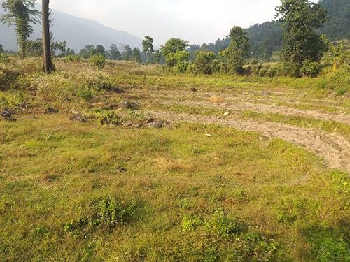 Bhutan's empty terraces: why the rice fields along the road to Tashichholing are going quiet