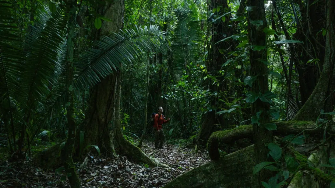 Belize's Victoria Peak Trek: Three Days in a Jaguar Preserve, Ropes Required