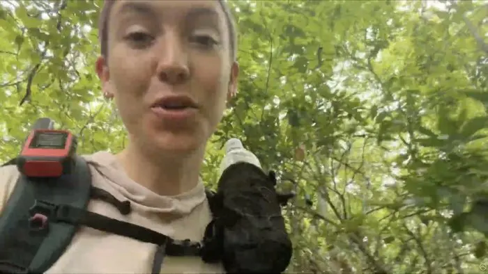 Swings and Roundabouts on the Appalachian Trail: One Hiker's Week 12