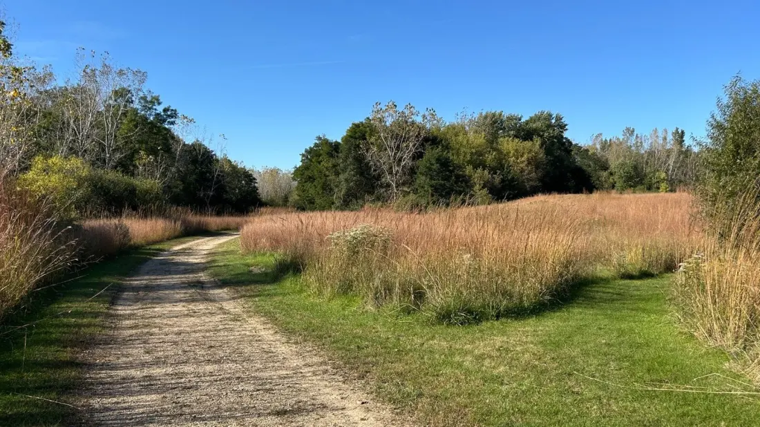 Jelke Creek Bird Sanctuary: A Quiet 244-Acre Wetland Escape Between Chicago and Rockford