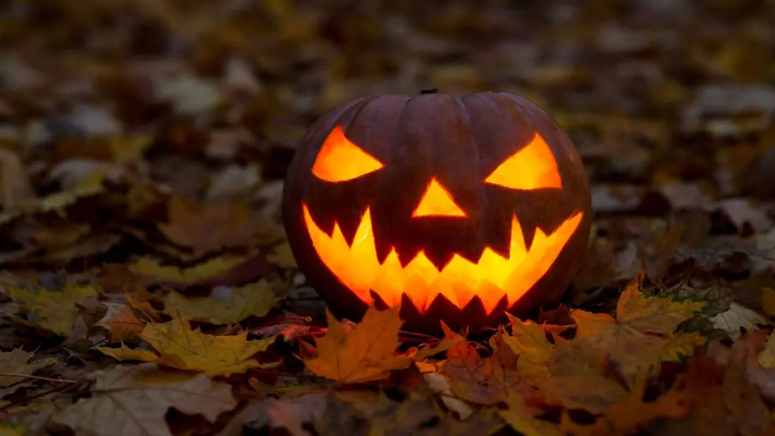 Alberta's Forbidden Forest Pumpkin Walk Lights Up Near Drayton Valley This October