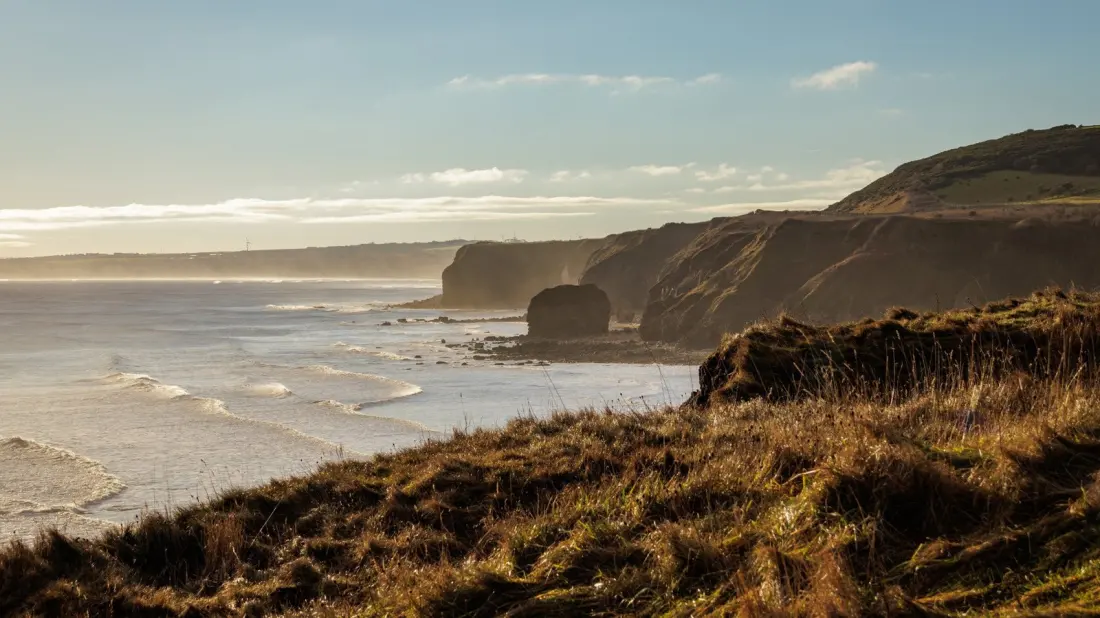 Hawthorn Dene: The Quiet Wooded Valley Hiding on Durham's Coast