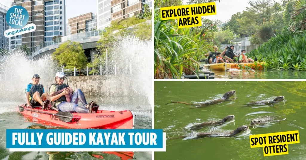 Paddle Punggol: The Guided Kayak Tour That Takes You Through Singapore's Waterways