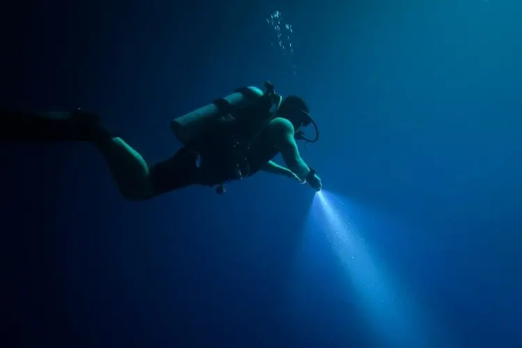 Test Your Diving Smarts with Dive Magazine's Sound & Vision Quiz