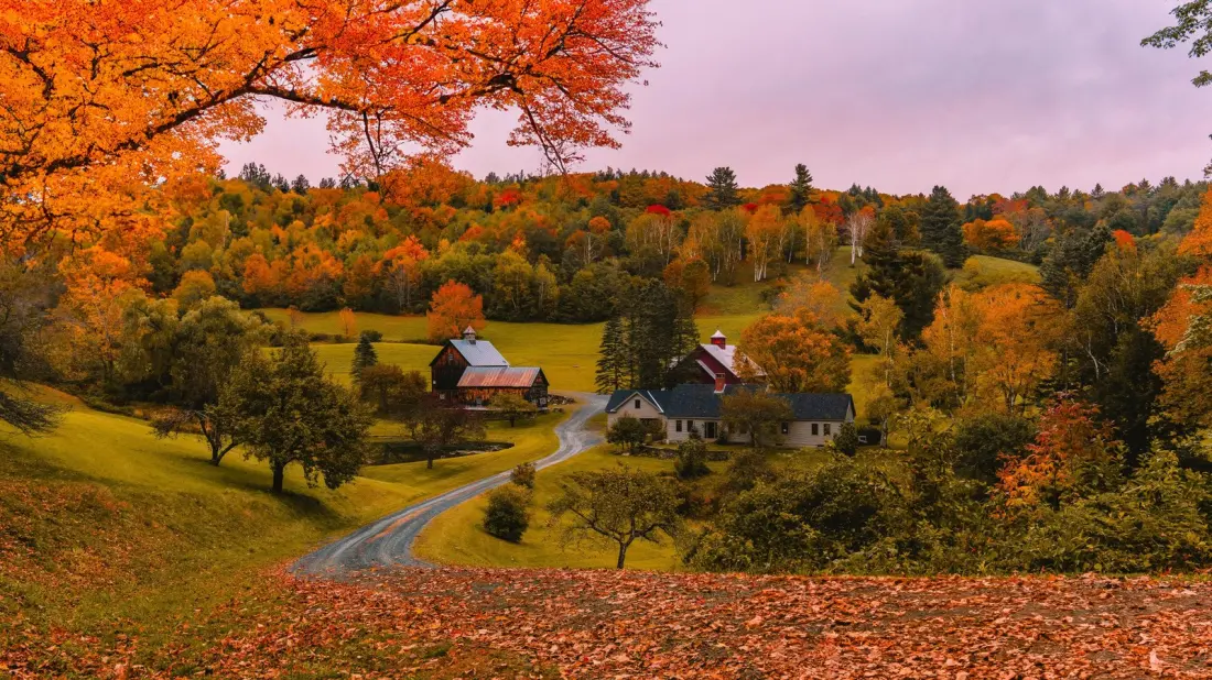 Vermont Named America's Best State for Fall Foliage in 2026