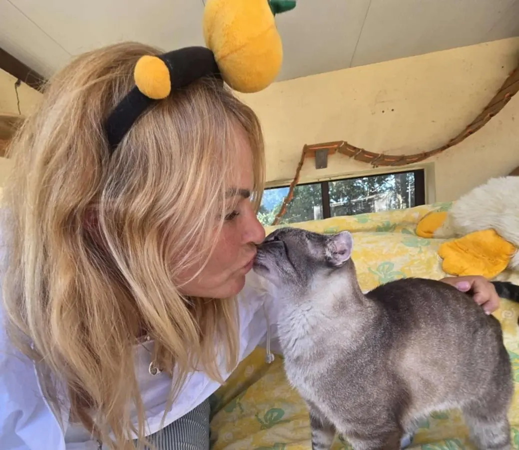 AdoptPets.pt: a new national directory for rescue dogs and cats in Portugal