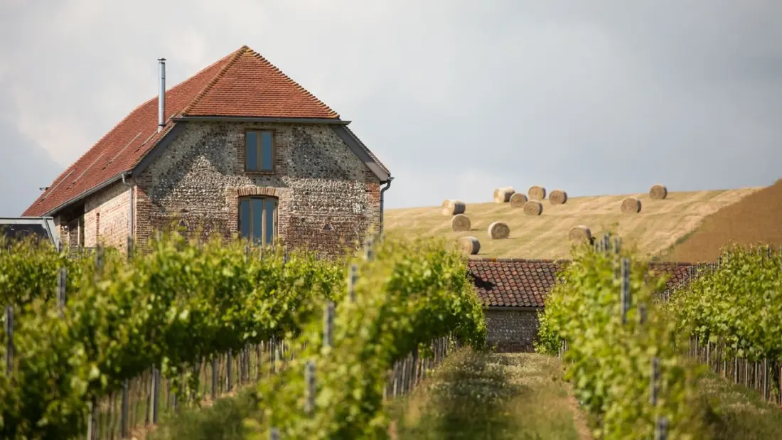 Vineyard hotels in the UK: five wine-country stays worth the trip