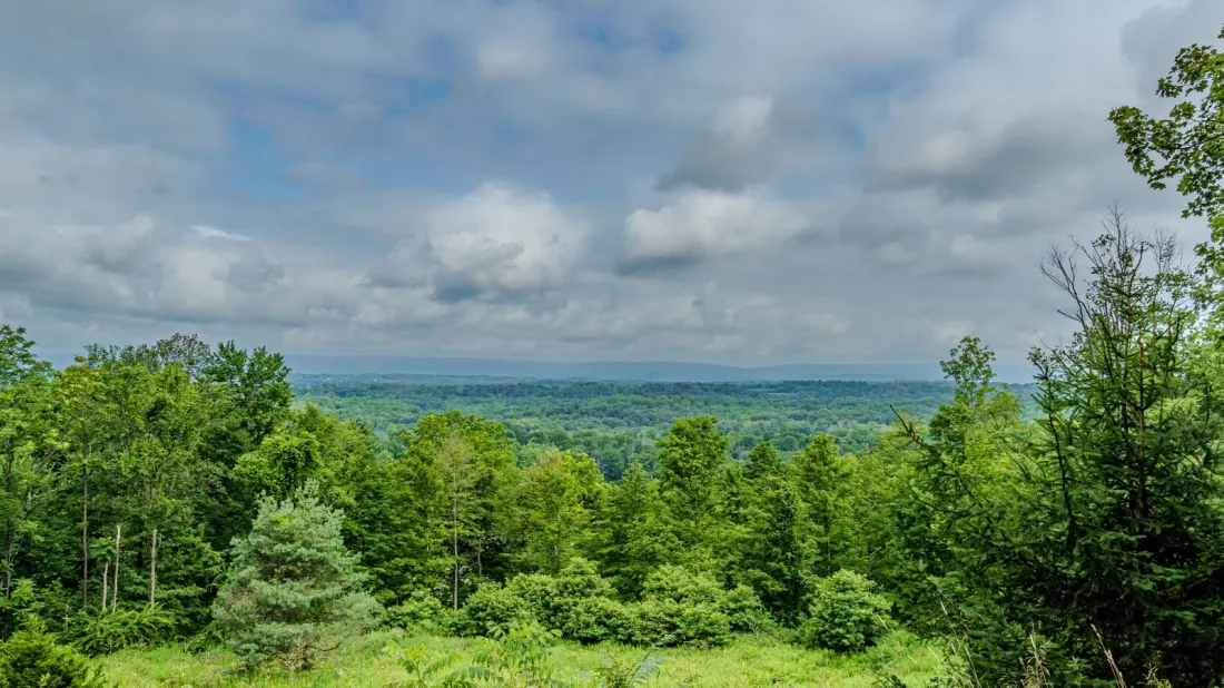 Jenny Jump State Forest: New Jersey's Dark-Sky Escape With Glacial Boulders and Lake Fishing