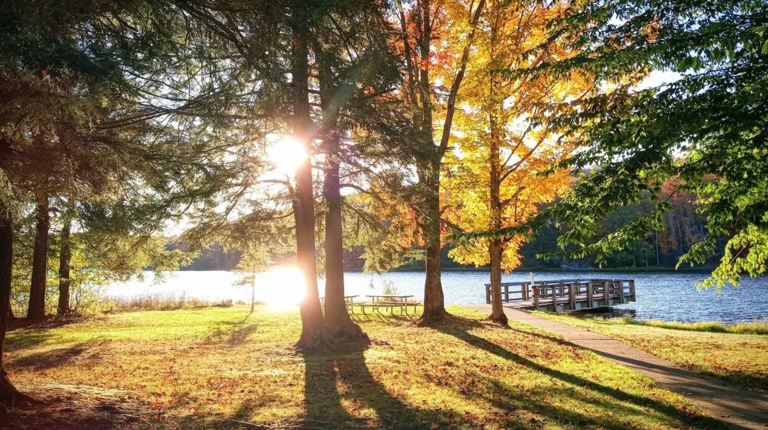 Chapman State Park: Pennsylvania's Quietest Lake Escape, 80 Campsites and All