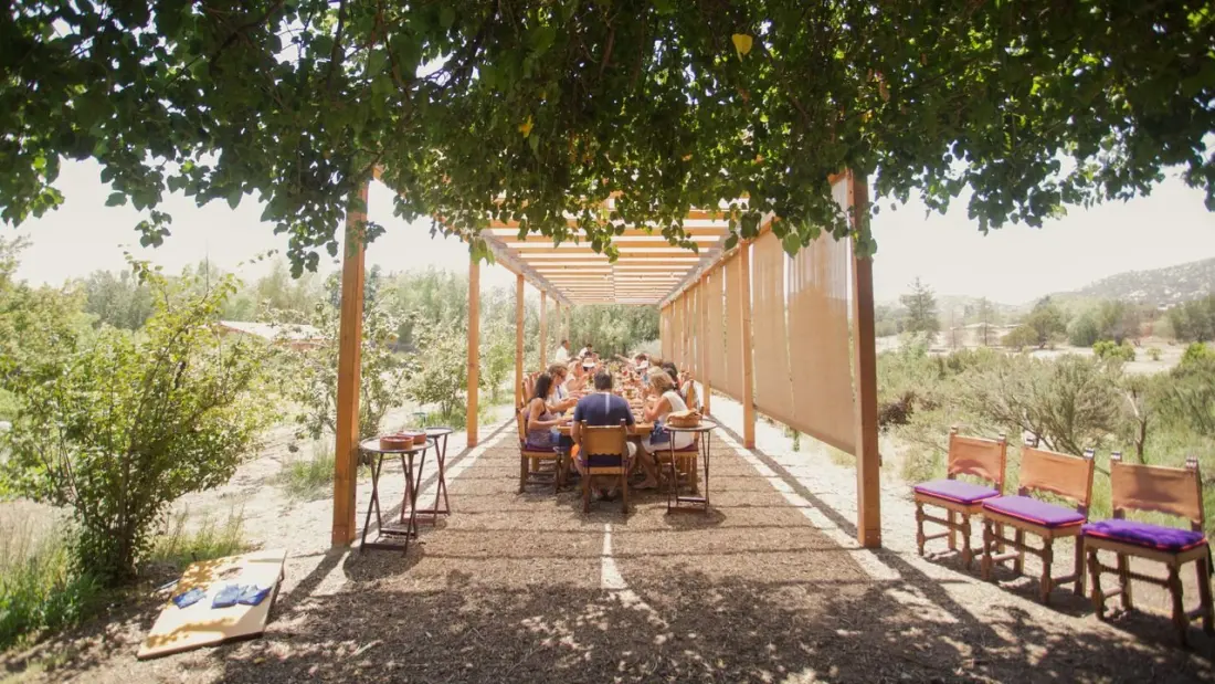 Silent Dining: The Wellness Trend You Can Taste in 90 Minutes
