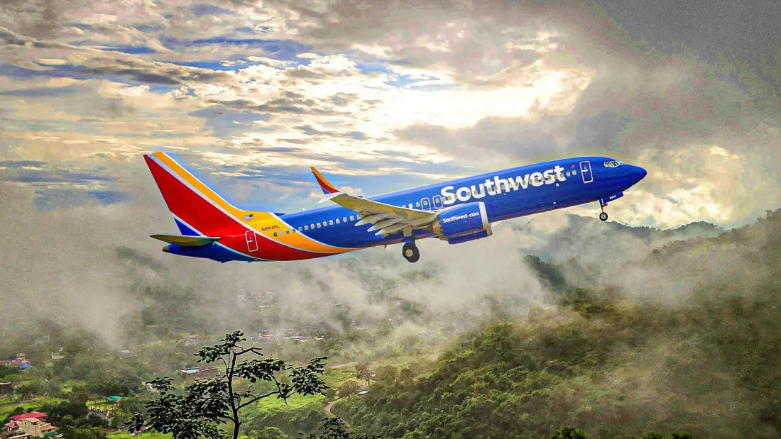 When a Service Dog Has a Mid-Air Emergency: Inside Southwest's Messy Flight 4981