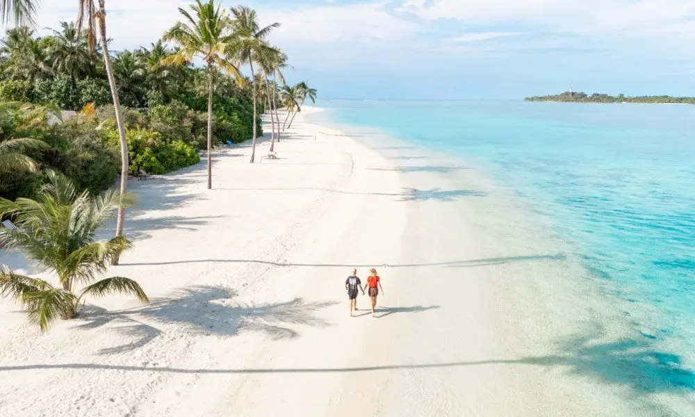 Maldives round-up: AI-themed World Tourism Day, turtle hatchlings, a Soneva slide as art, and a family award