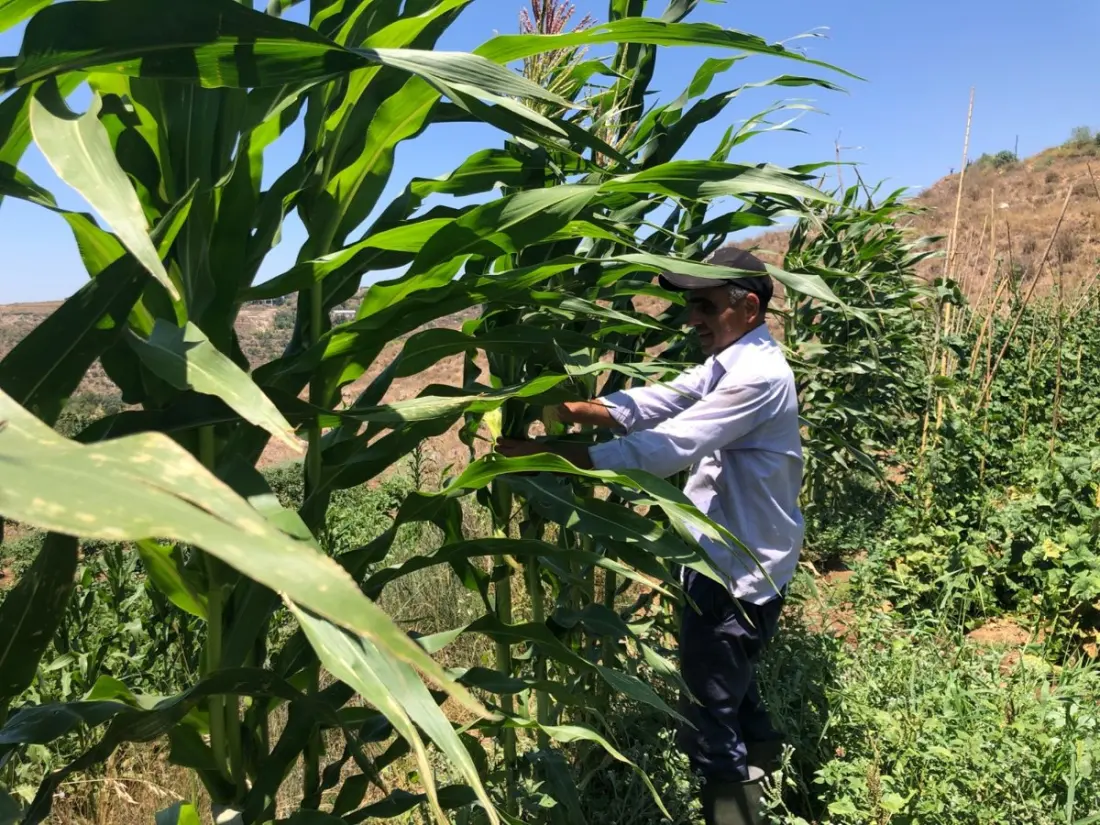 How a Lebanese Microcredit Fund Turns $1,000 Loans Into Family Businesses