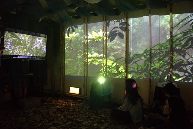 A forest grows indoors: Hà Nội's free 'From Forest to Future' exhibition