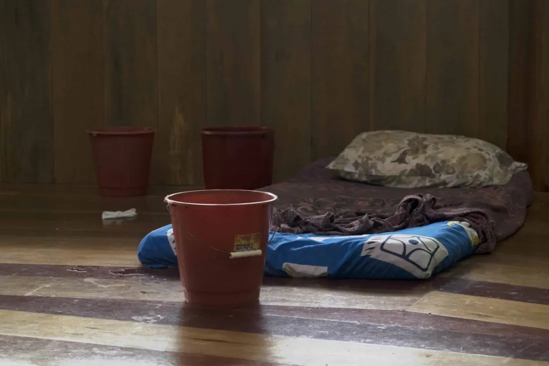 Ayahuasca Retreats Draw US Veterans to Costa Rica — but the Rules Are Fuzzy