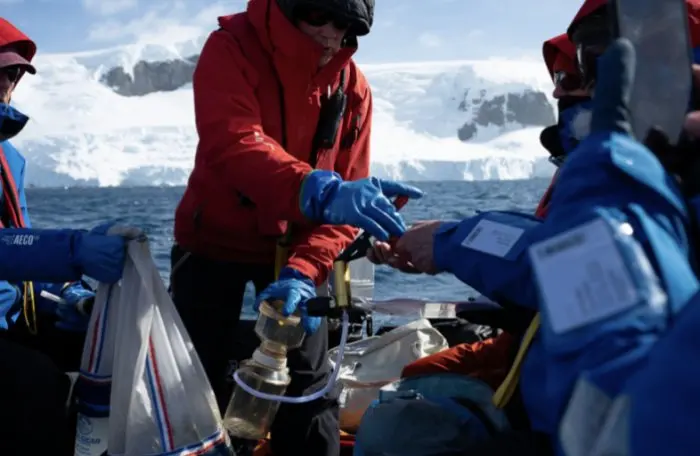AE Expeditions' 2026-27 Antarctic season puts 18 working scientists on board