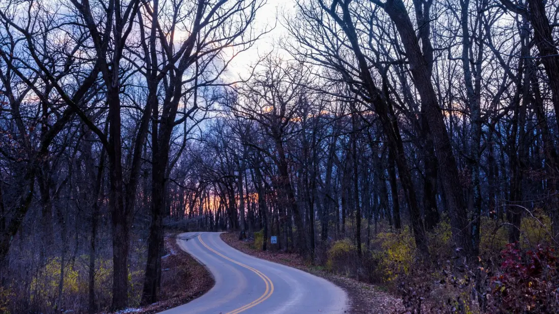 New Glarus Woods: The Low-Key Wisconsin State Park 40 Minutes From Madison
