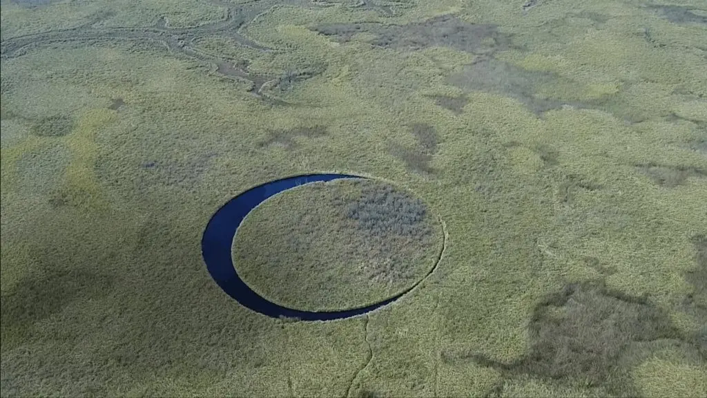 El Ojo: the floating island in Argentina's delta that slowly spins