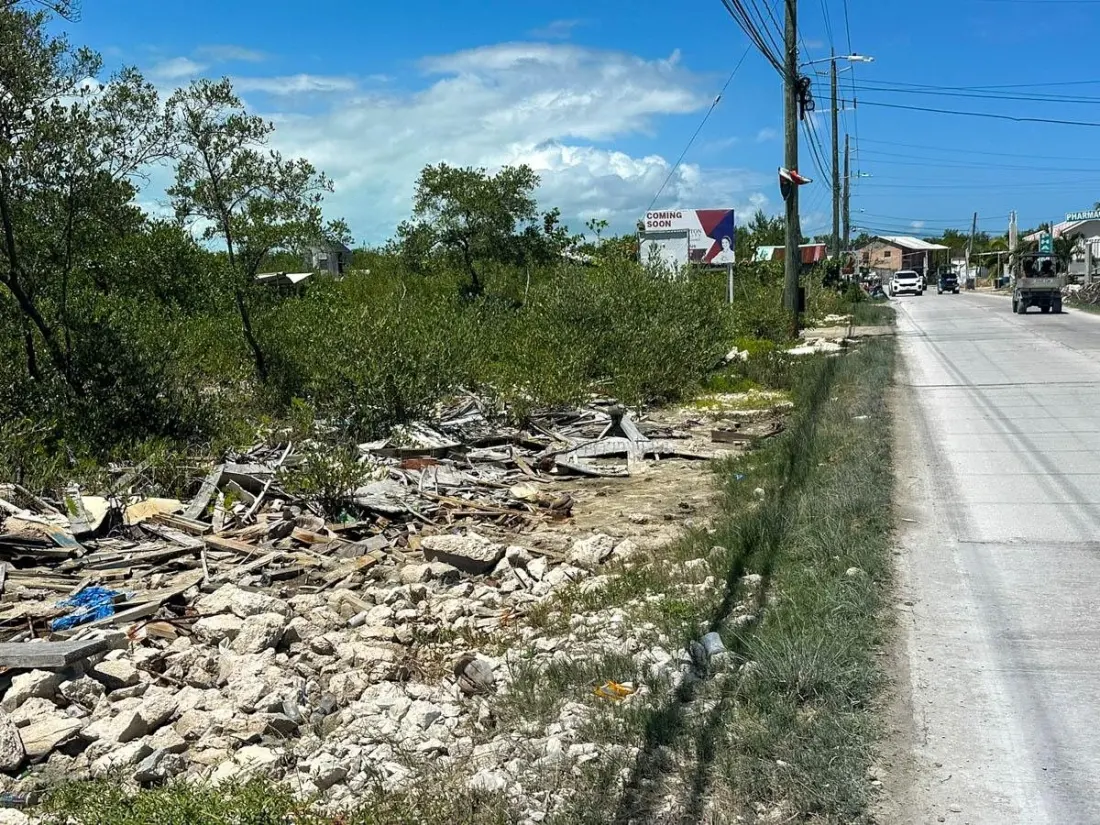 Ambergris Caye volunteers are cleaning up the island the government won't