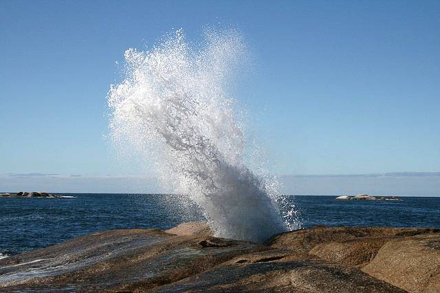 Bicheno Blowhole: Tasmania's Six-Metre Water Cannon That Soaks the Unwary