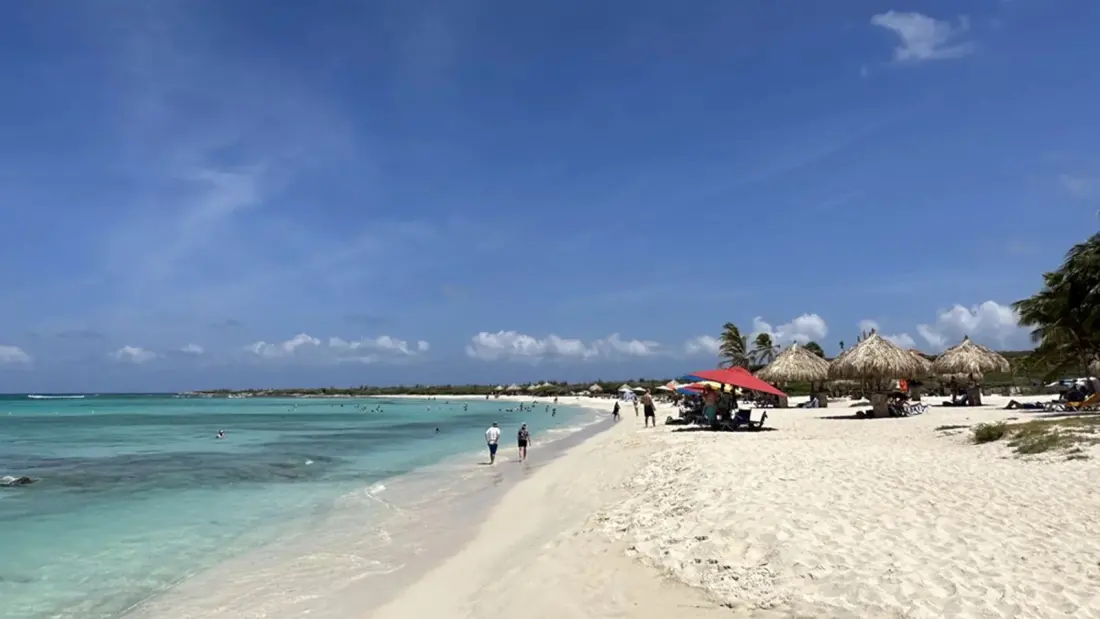 Arashi Beach: Aruba's Snorkel-and-Sunset Spot North of Palm Beach