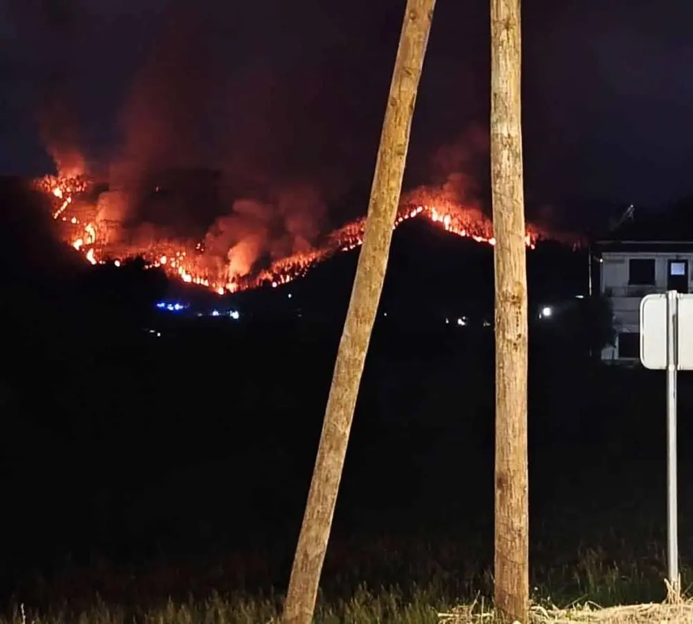 Arganil wildfire brought under control after fierce overnight battle in central Portugal