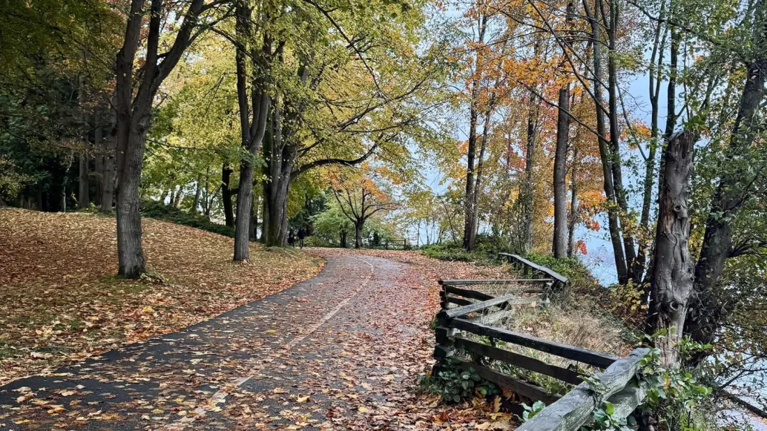 Vancouver's best fall-foliage walks, with a coffee stop planned for every one