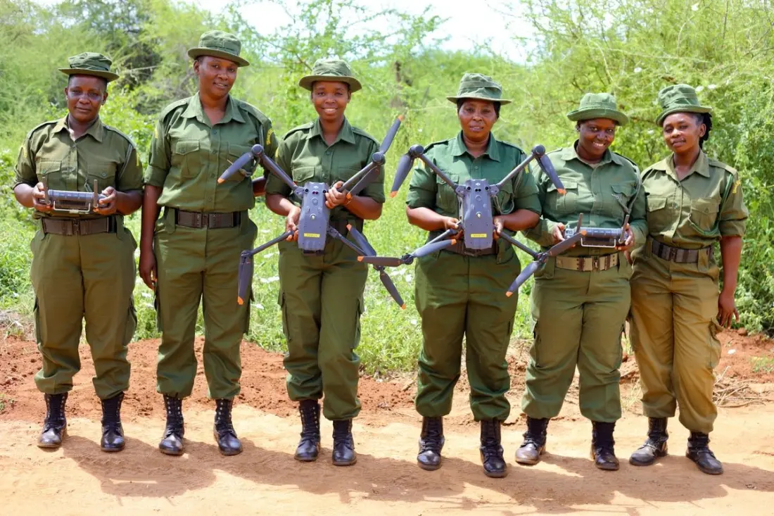 Drones, beehives and AI: the women rewriting wildlife conservation across Africa