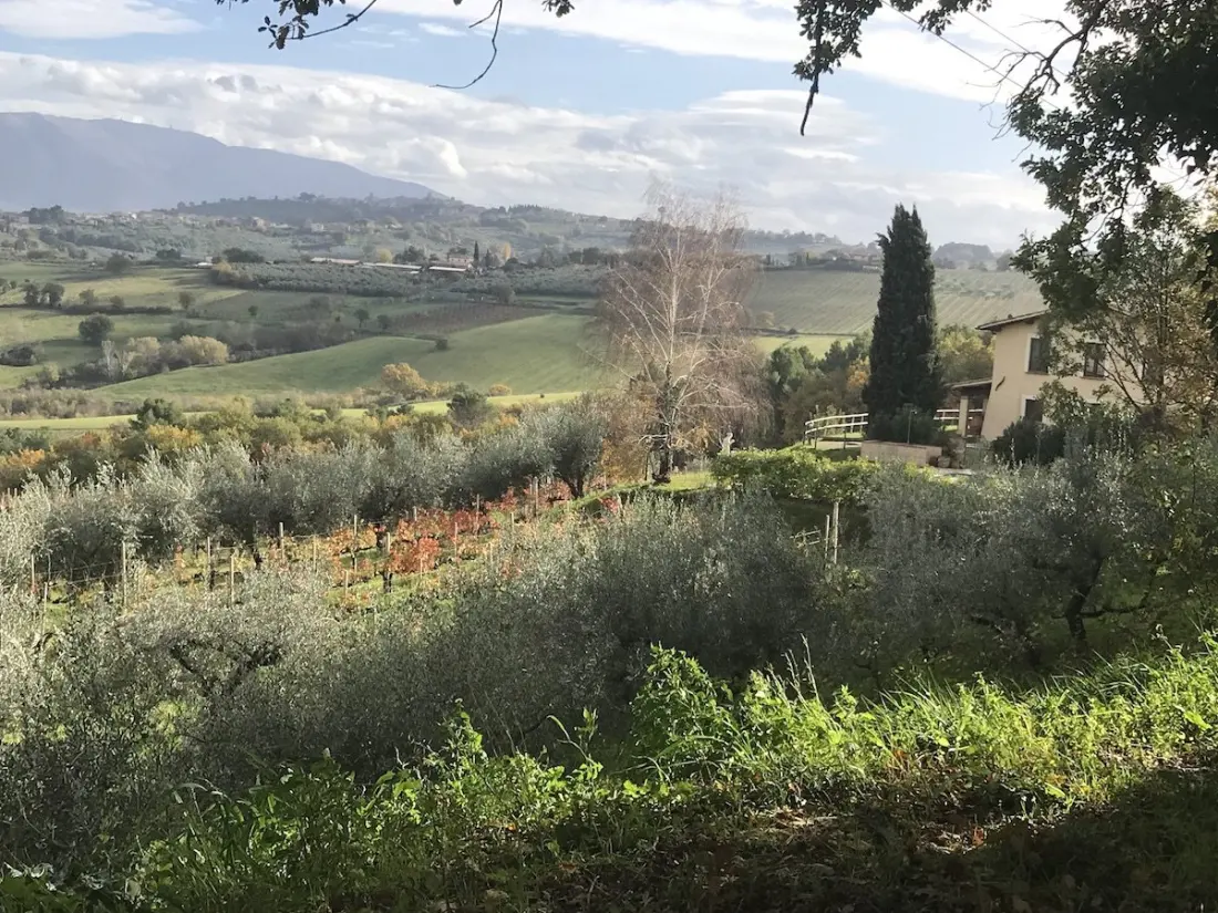 An 1880s Umbrian Farmhouse Turned Award-Winning Country Inn Is Up for Sale