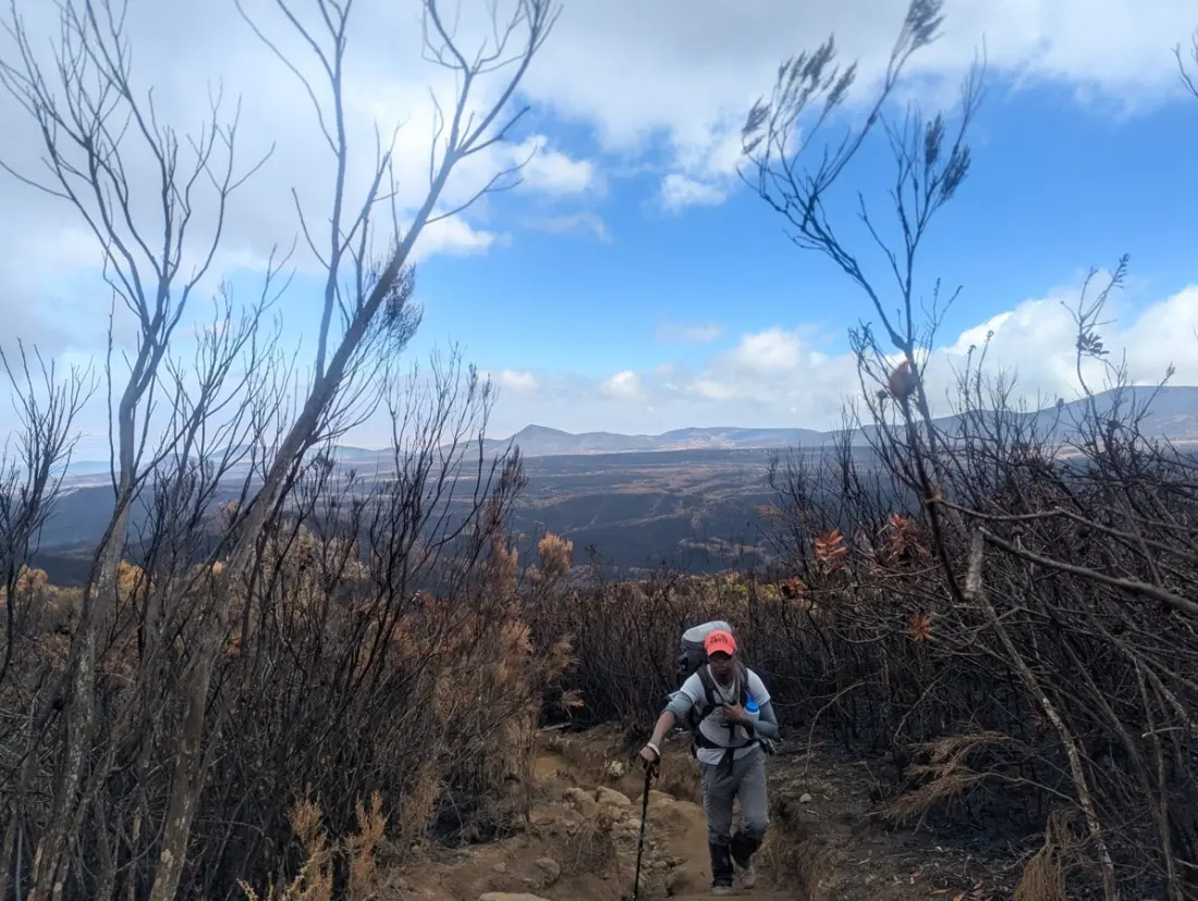 Day Two on Kilimanjaro: Climbing from the Rainforest to the Shira Plateau